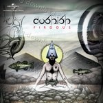 Coshish Songs MP3 Download